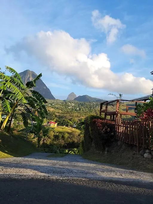 Majestic Views- Shay Apartment Choiseul 0*,